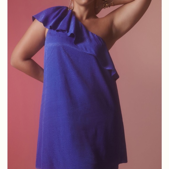 Stunning Royal Blue Animal Print Fancied Frock - Picture 6 of 14